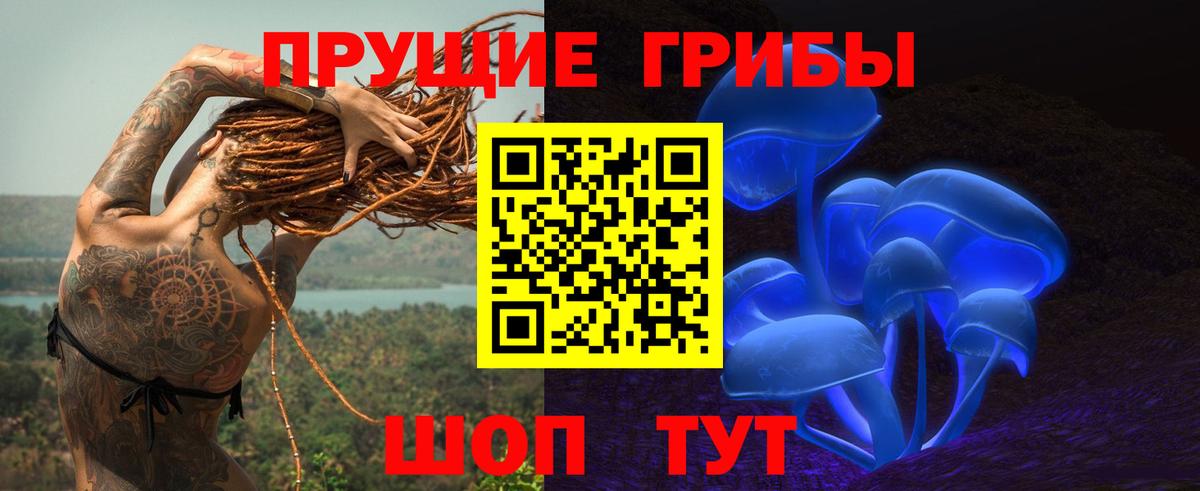Богданович  наркотики  Вход с VPN  Псилоцибиновые грибы мицелий 